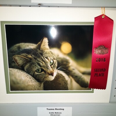 Student Wins 2nd Place in the State Fair Photo Competition